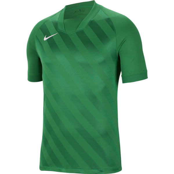Picture of Nike DRI-FIT Challenge III Jersey