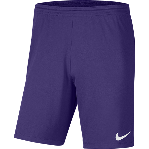 Picture of Nike Park III Shorts