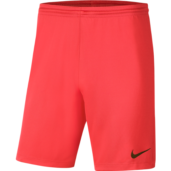 Picture of Nike Park III Shorts