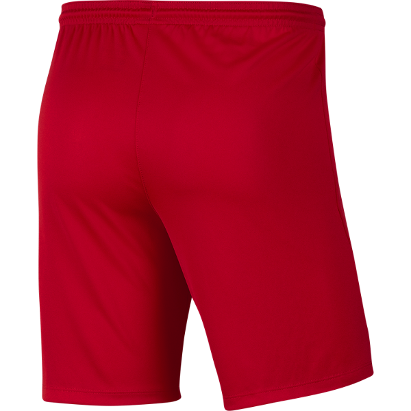 Picture of Nike Park III Shorts