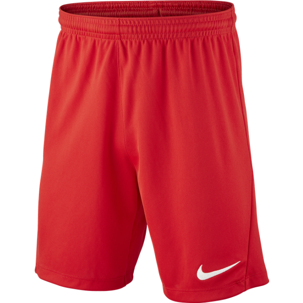 Picture of Nike Youth Park III Shorts