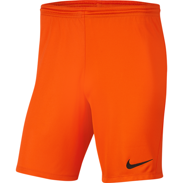 Picture of Nike Park III Shorts