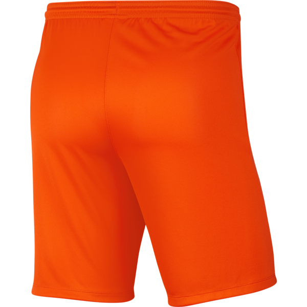 Picture of Nike Park III Shorts