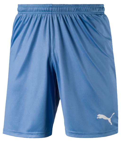 Picture of Puma Liga Shorts Core - Adult