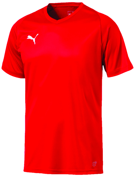Picture of Puma Liga Jersey Core - Adult