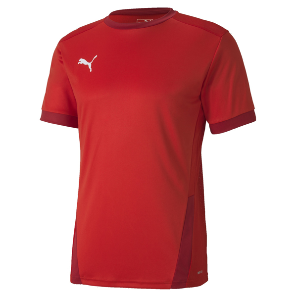 Picture of Puma Team Goal 23 Jersey - Adult