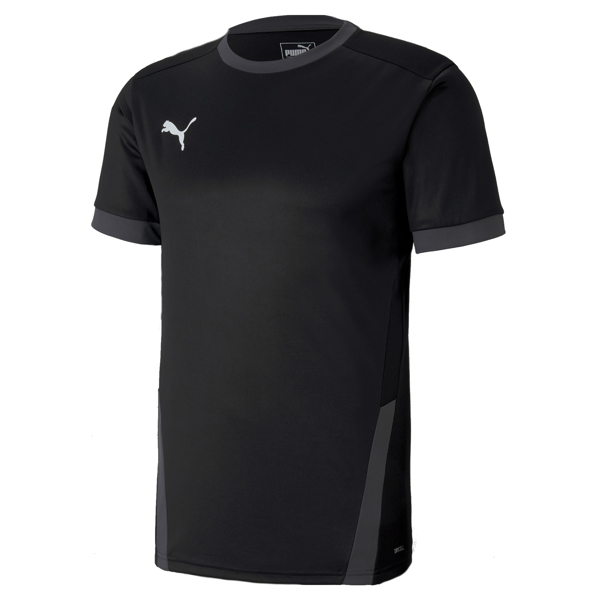 Picture of Puma Team Goal 23 Jersey - Adult