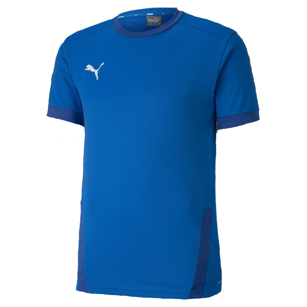 Picture of Puma Team Goal 23 Jersey - Adult