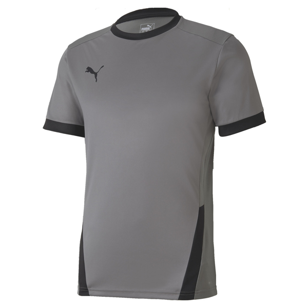 Picture of Puma Team Goal 23 Jersey - Adult