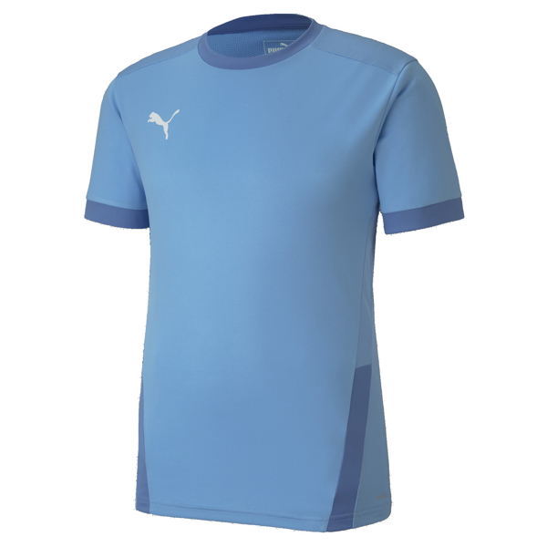 Picture of Puma Team Goal 23 Jersey - Adult