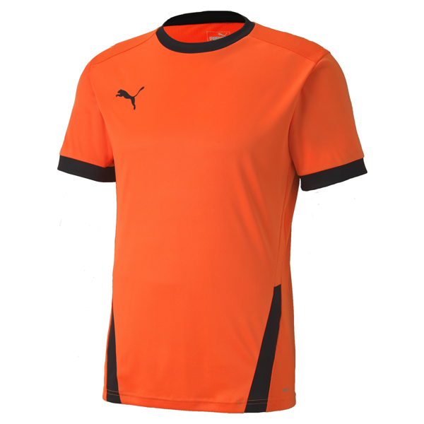 Picture of Puma Team Goal 23 Jersey - Adult